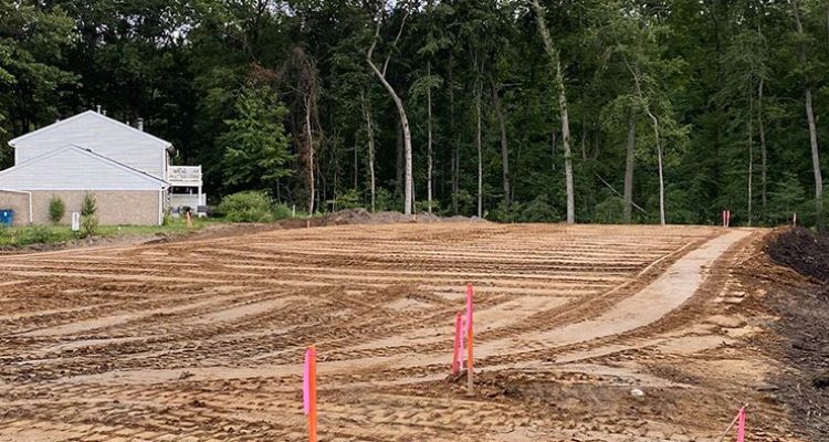 maplelane-73120-072336